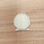 Nantucket Bone Scallop Shell from HH Perkins on wooden background.